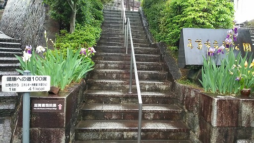 e0020682_1994542.jpg