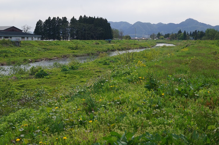 d0129083_14311175.jpg