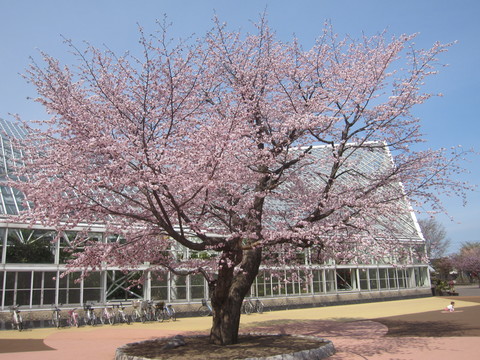 c0171889_1312115.jpg