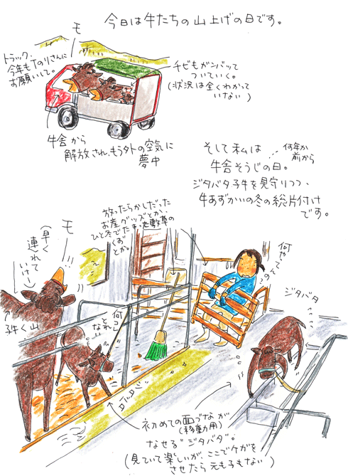 f0236291_6163773.gif