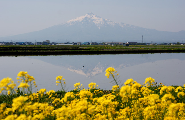 水の入った田んぼに映る、逆さ津軽富士など♪_a0136293_1932947.jpg