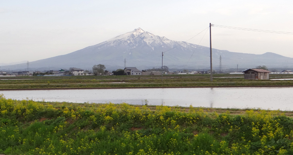 水の入った田んぼに映る、逆さ津軽富士など♪_a0136293_19454030.jpg