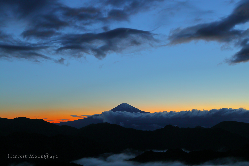 b0208495_23014947.jpg