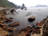 f0079996_185191.jpg