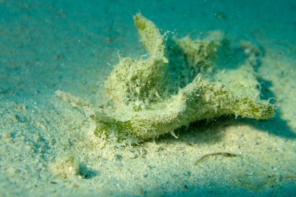f0121701_21432016.jpg