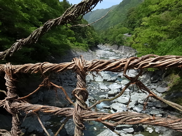 祖谷のかずら橋～祖谷渓 @徳島県三好市_f0197703_14582415.jpg