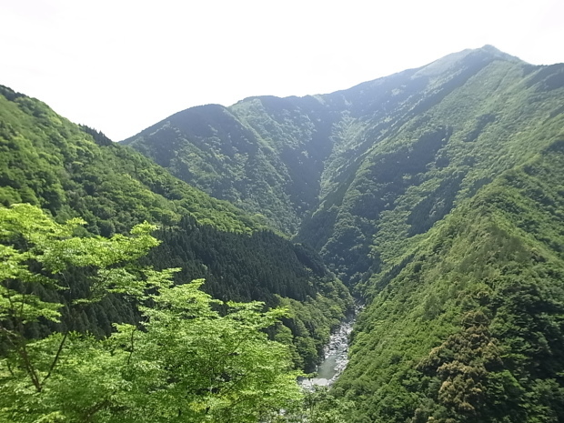 祖谷のかずら橋～祖谷渓 @徳島県三好市_f0197703_15035285.jpg