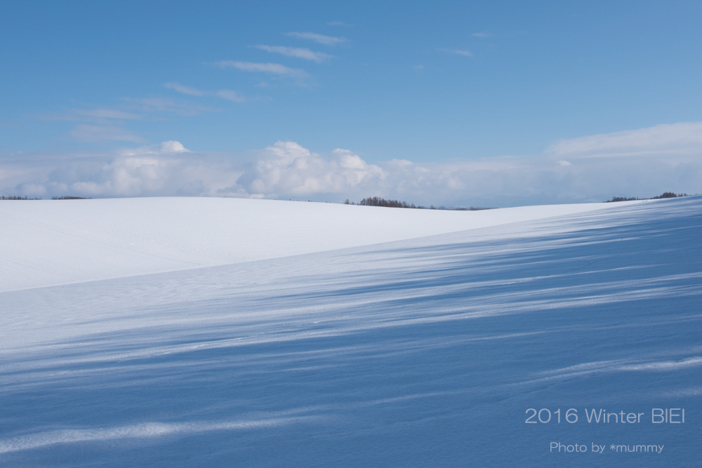 冬の美瑛撮影会写真展 「白い丘 part 3」が終了いたしました。_d0154507_16261802.jpg