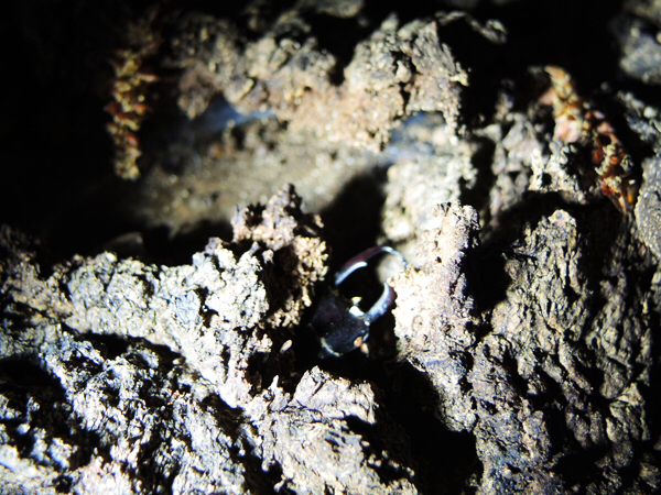 c0346119_23510143.jpg