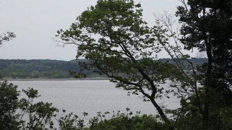 e0202031_22103395.jpg