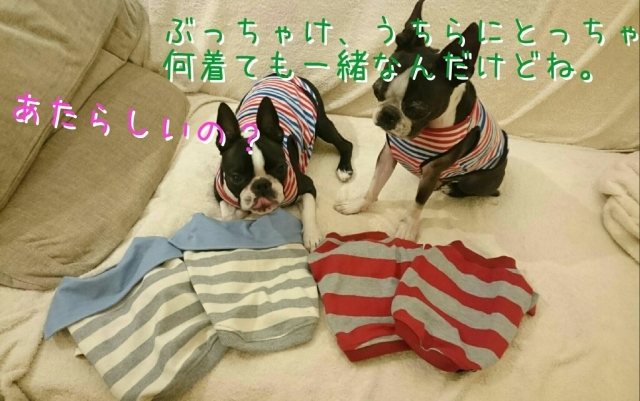 c0209932_23315069.jpg