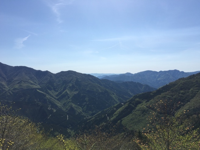 e0346137_16220197.jpg
