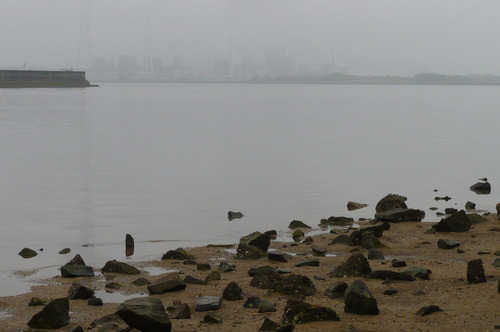 a0152454_824671.jpg