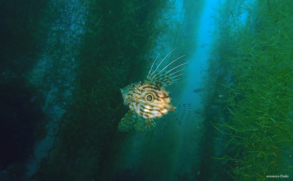 朝イチに「海の森」☆日高_e0158261_1102383.jpg