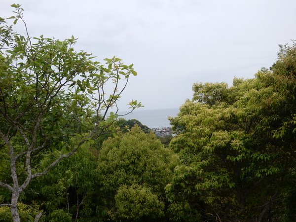 ’16,5,10(火)山が緑色に燃えている~!_f0060461_1145484.jpg