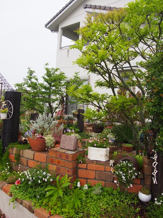b0194267_18951100.jpg