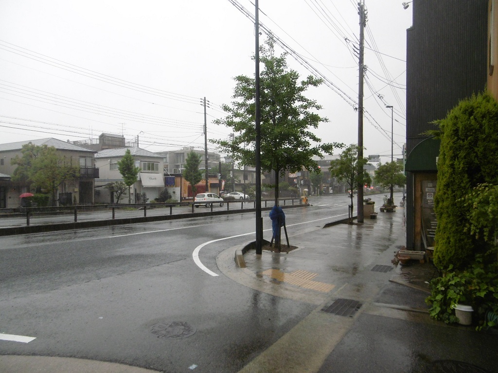 雨の火曜日_f0205367_23134629.jpg