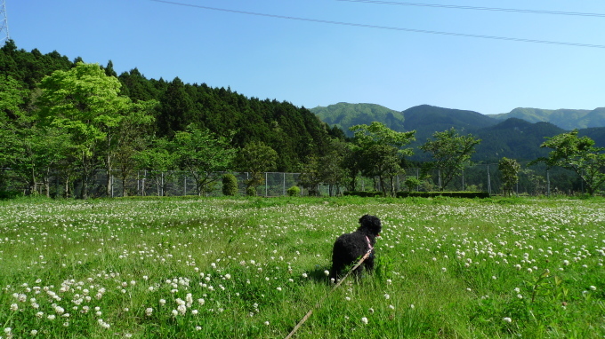 貴重な一日_f0351179_10210018.jpg