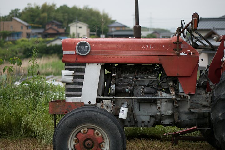 小休止中の赤虎_d0353489_19293844.jpg
