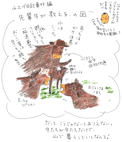 f0236291_13431932.gif