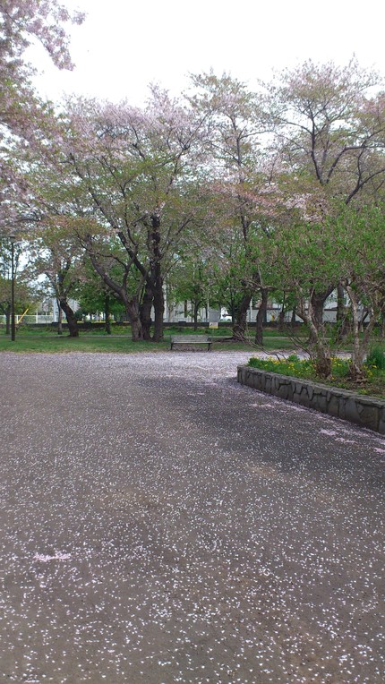 外出レクレーション_b0159098_193140.jpg