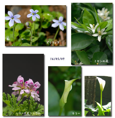 パソコンに振り回された日_c0051105_23401630.jpg