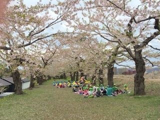 しつこく桜を求めて函館へ②_e0178307_12025393.jpg