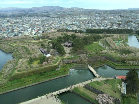 しつこく桜を求めて函館へ②_e0178307_12513857.jpg