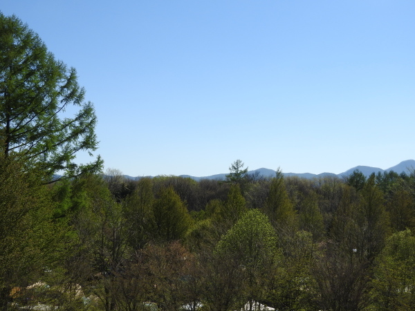 b0174425_12364285.jpg