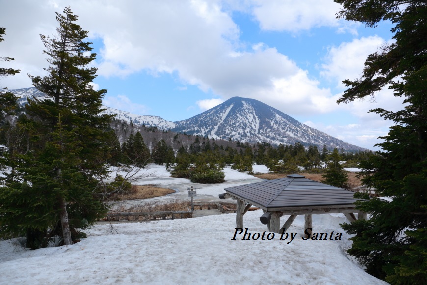 2016　東北桜紀行---中編---_c0201929_80932.jpg