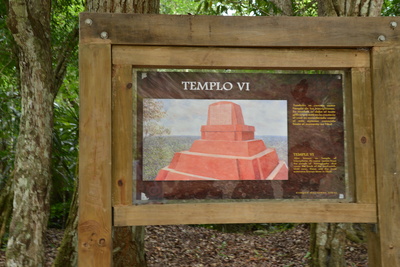 a0124132_95504.jpg