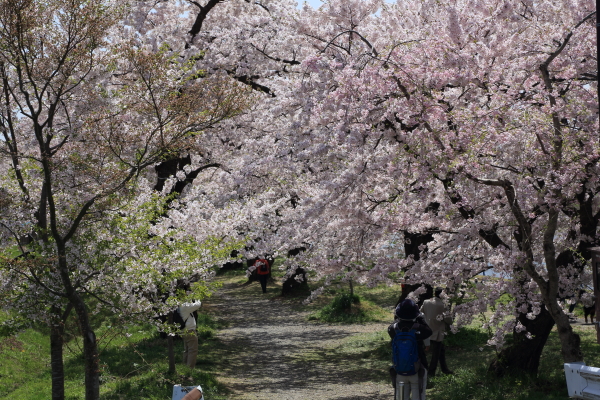 f0229832_1031510.jpg