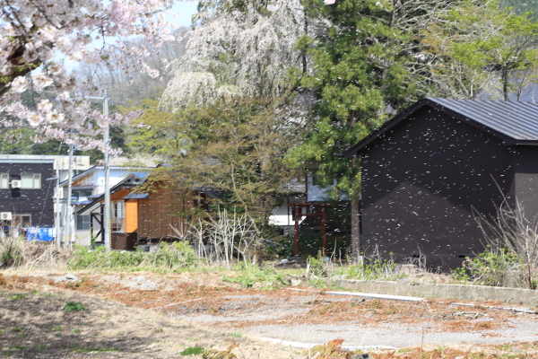f0229832_10342179.jpg