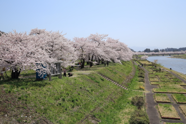 f0229832_1034794.jpg