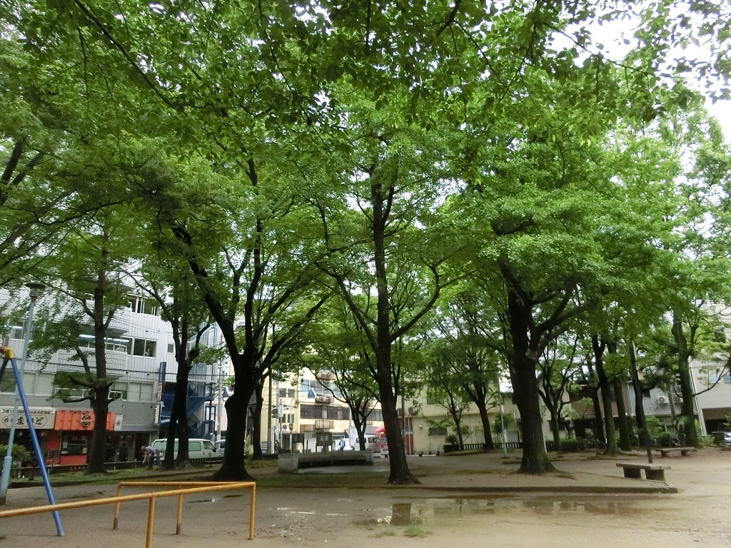 雨上がり_f0292634_11403313.jpg