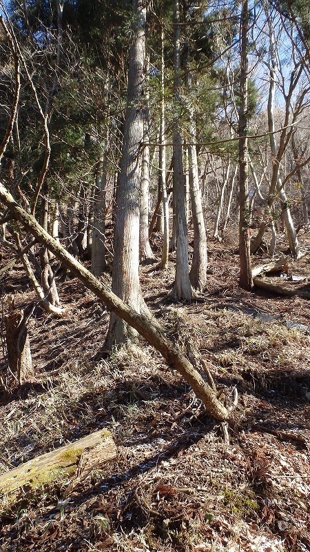 c0097754_15423052.jpg