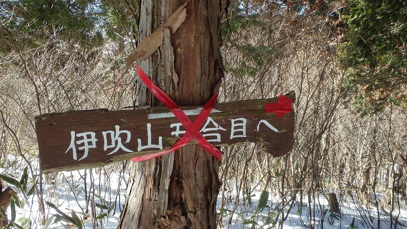 c0097754_15531212.jpg