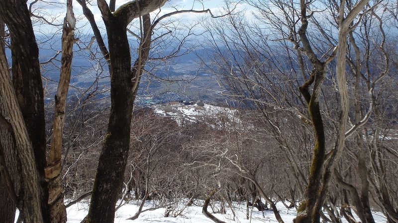 戦国の歴史秘めた伊吹山弥高尾根を探索_c0097754_15571834.jpg