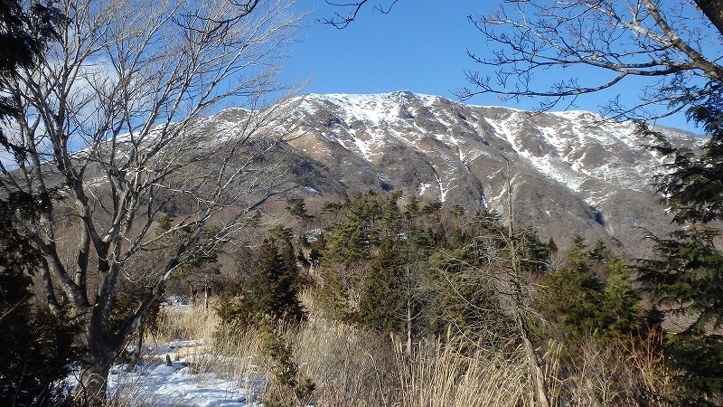 戦国の歴史秘めた伊吹山弥高尾根を探索_c0097754_16033687.jpg