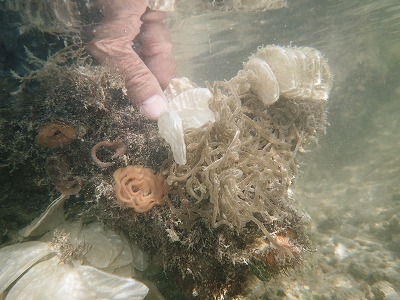 c0180460_751039.jpg