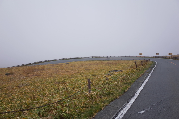 a0232368_21003146.jpeg