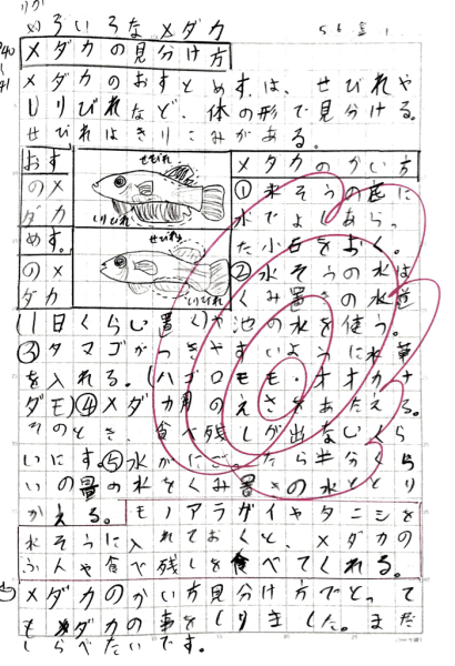 イラストを描くと 自学ノート