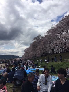 第3回桜まつり&交流会の報告です!_a0224877_00103760.jpg