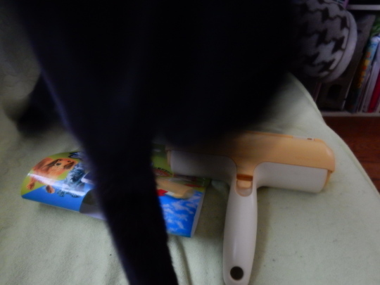 抜け毛取りクリ―ナー_e0355177_14571898.jpg
