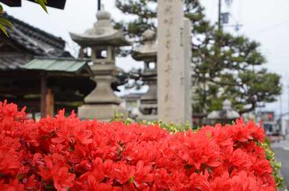 ★長浜城・豊国神社・秀吉と石田三成①_c0229483_024098.jpg