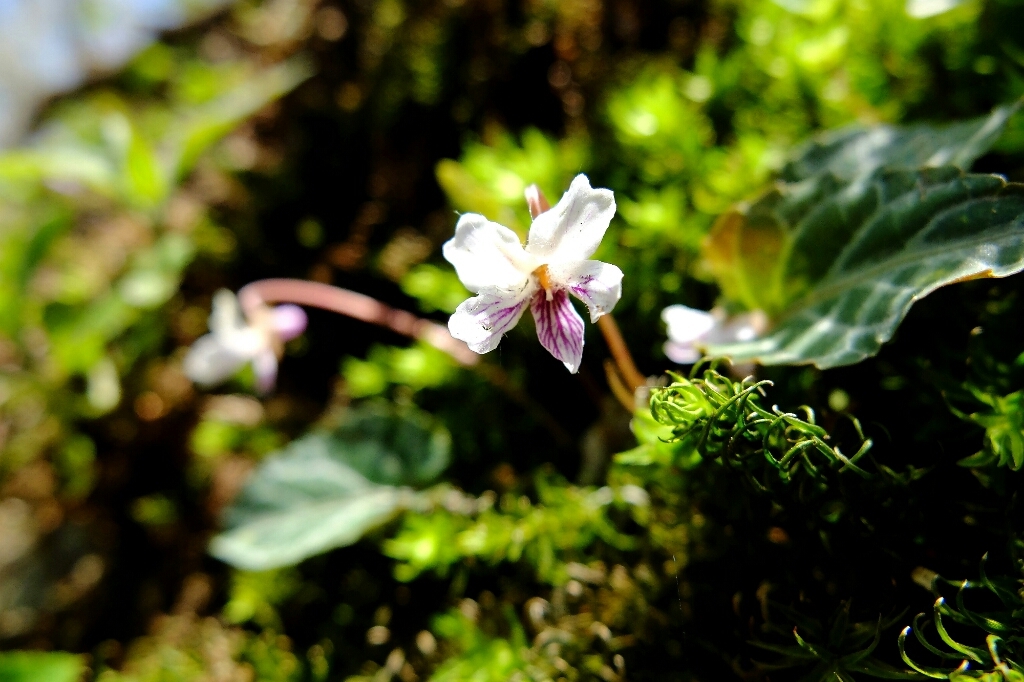 e0304001_23271803.jpg