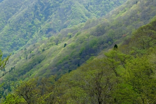 e0304001_23272511.jpg