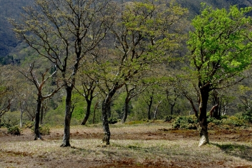 e0304001_23272892.jpg