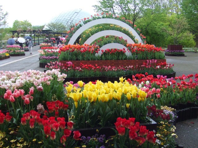 c0062603_03504240.jpg