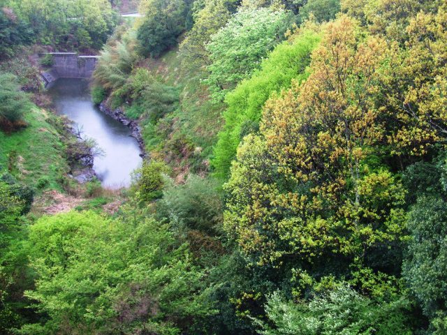 c0062603_03515566.jpg